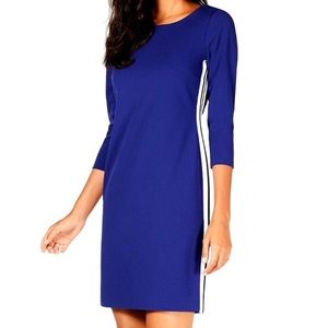 Alfani Petite Varsity-Striped Sheath Andromeda